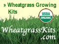 wheatgrass growing kits