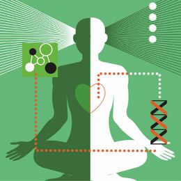 Your Holistic Nurse: Wellness for the individual and group focusing on stress and weight management Your Holistic Nurse: Wellness for the individual and group focusing on stress and weight management